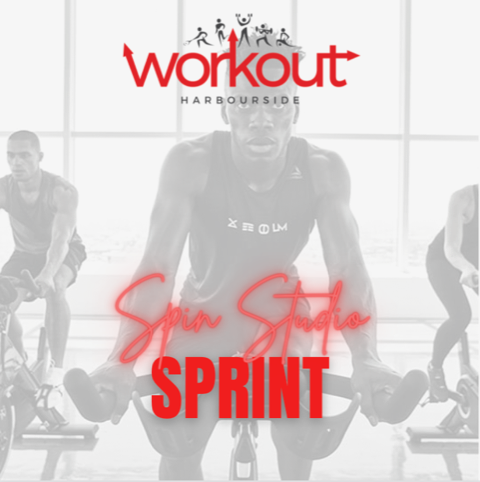 SPIN